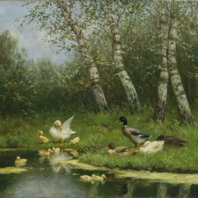 Constant Artz | Eenden langs de waterkant | Kunsthandel Bies