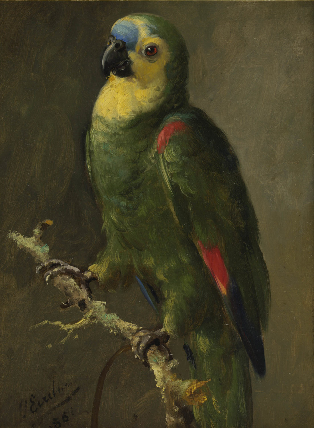 Otto Eerelman | A blue-fronted amazon parrot | Kunsthandel Bies | Bies Gallery