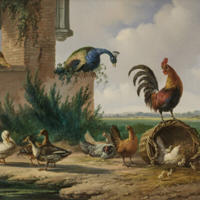 Verhoesen, A. | A landscape with poultry (112)