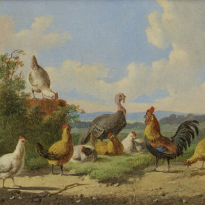 Verhoesen, A. | Poultry near a wall (122B)